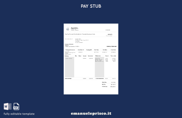 modello di busta paga Apple Inc. stile verificato